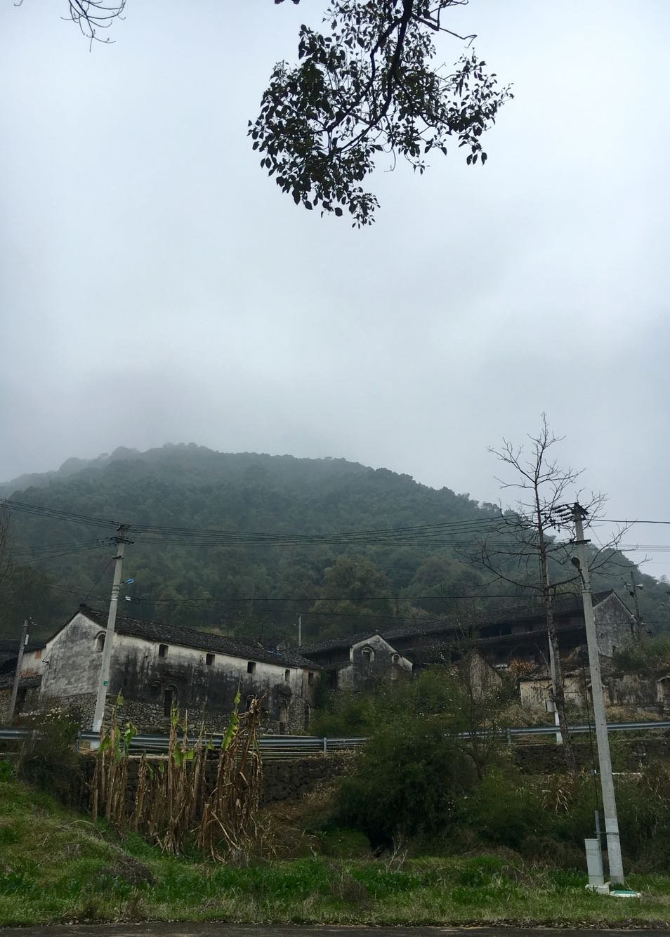 看点 第121页