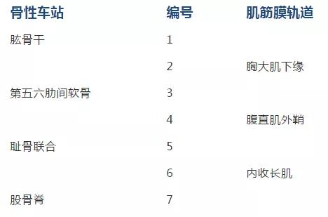 国际 第120页