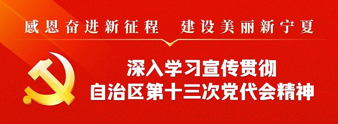 国内 第45页