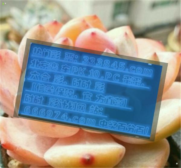 看点 第44页